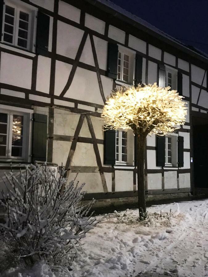 Sonnige Fachwerkwohnung Alfter Exteriör bild